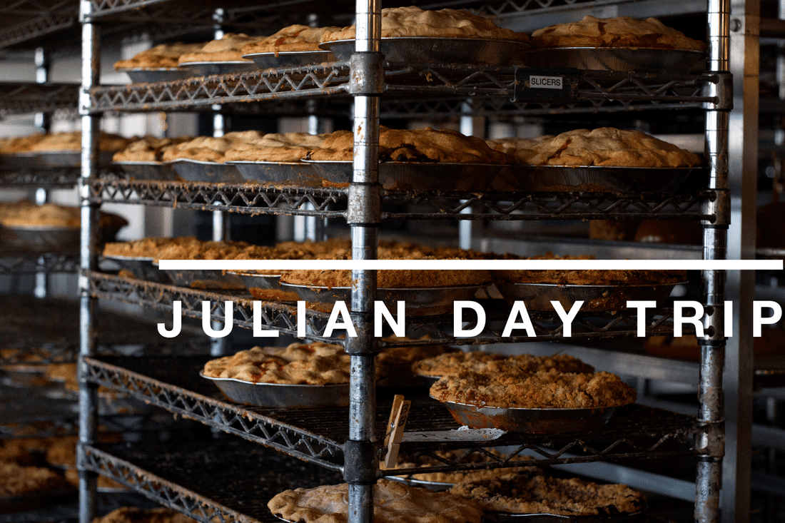 VOGUE INTUITION > Julian Day Trip